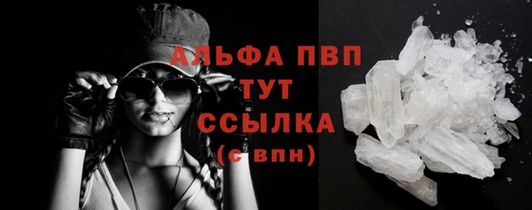 гидра Баксан